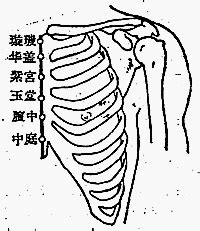 華蓋穴|醫砭 » 經穴庫 » 華蓋